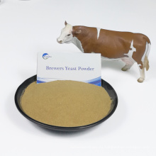 Feed Grade Brewers Levadura de secado para animales Polvo natural